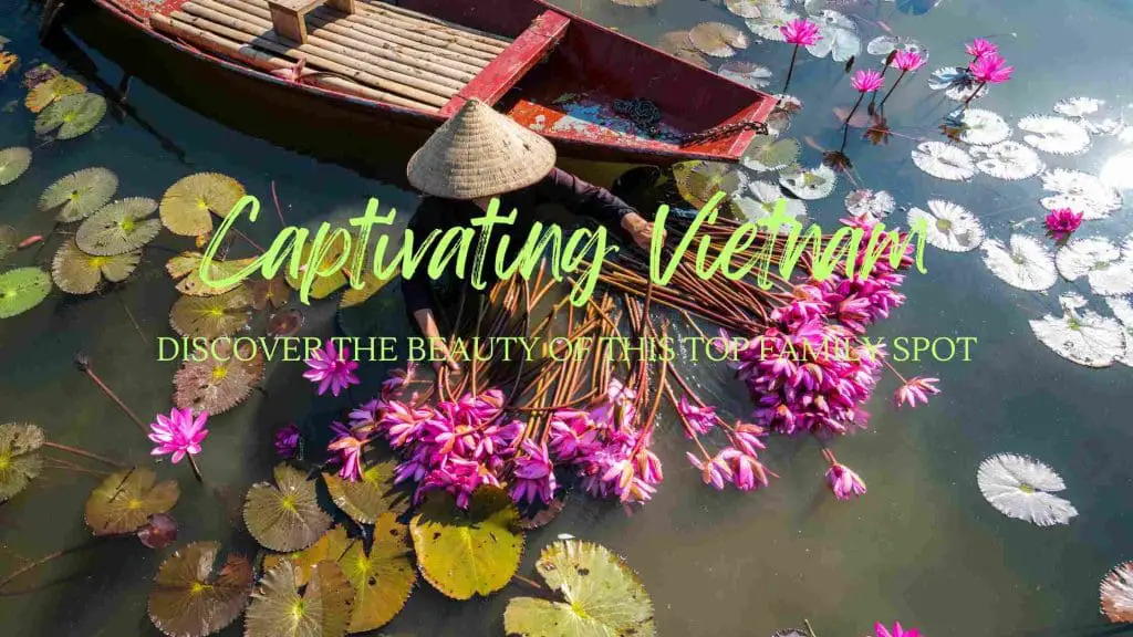 Captivating Vietnam
