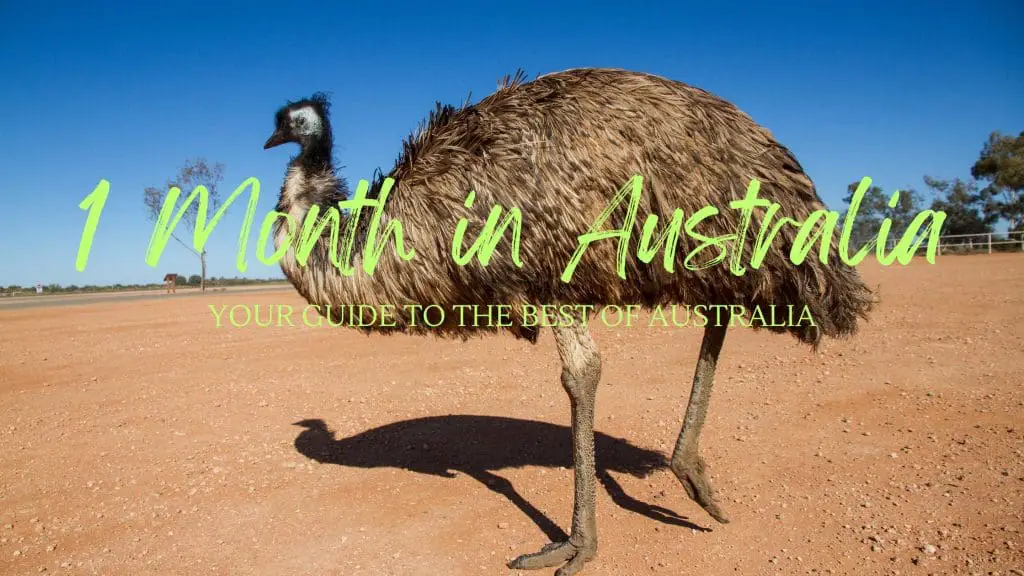 Travel To Australia For A Month