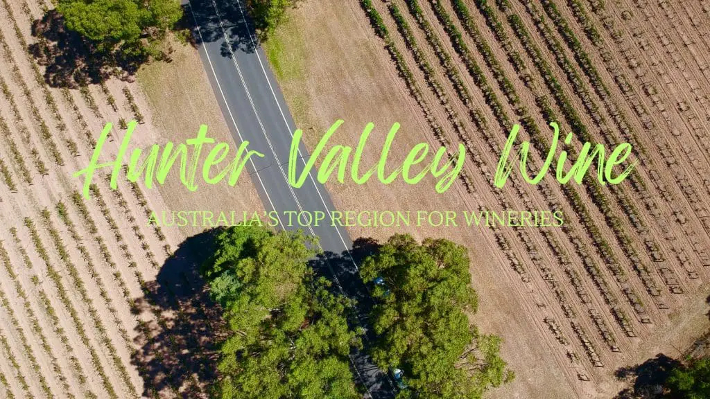 Hunter valley wine region