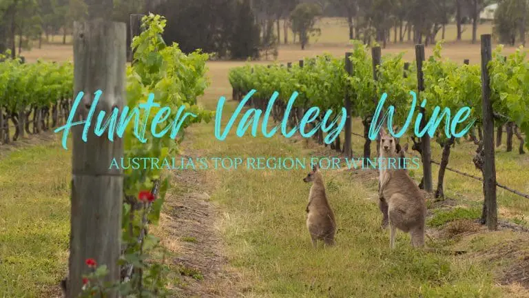 Hunter valley wine region