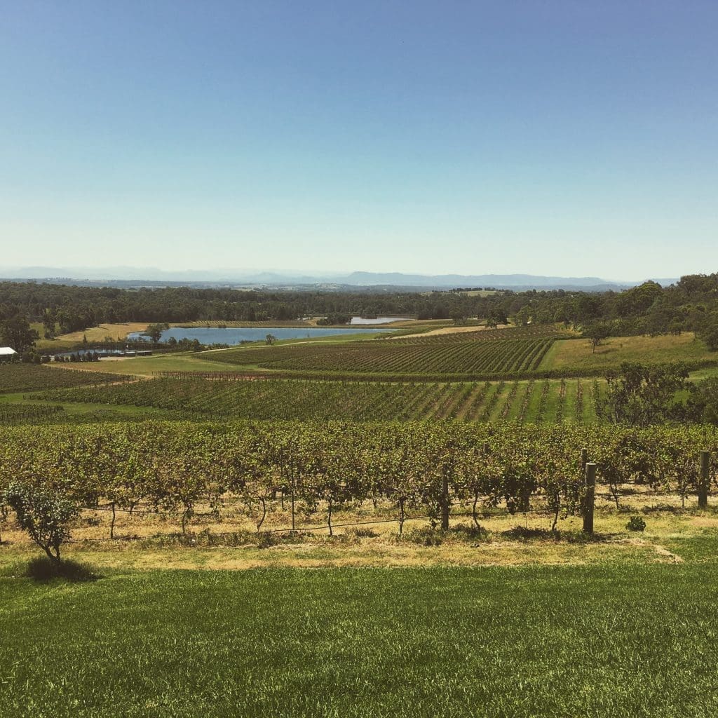 Winery view in Australia