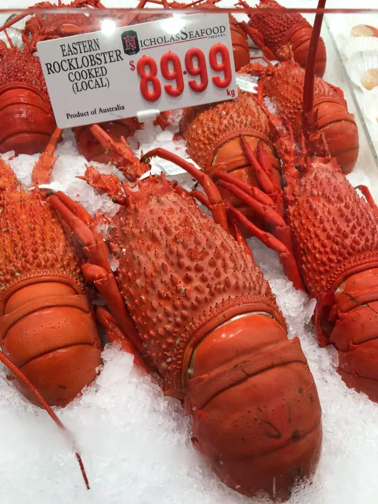 Sydney fish market lobsters 