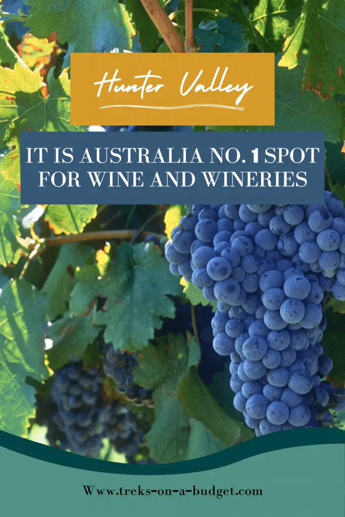 Pinterest Pin hunter valley Australia