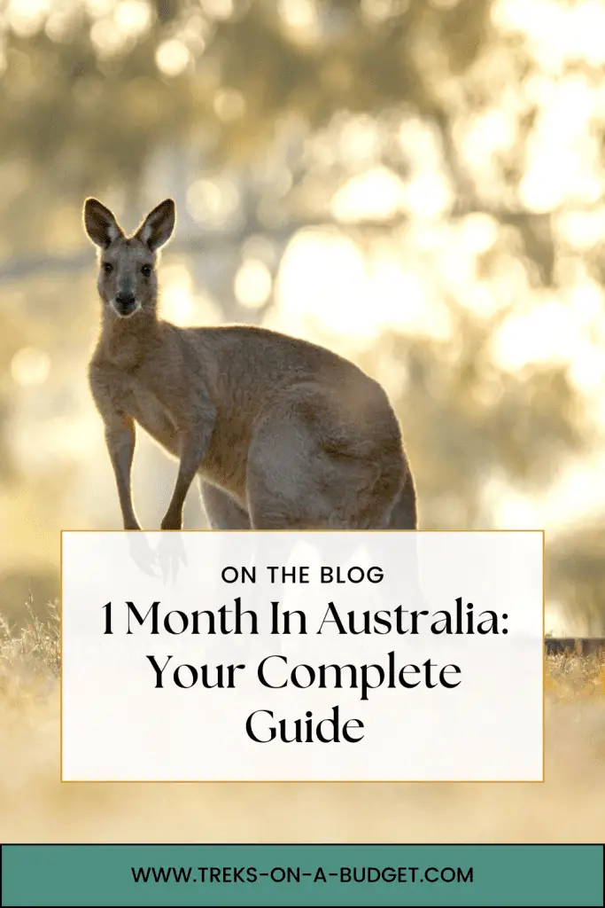 travel to australia for a month Pinterest pin