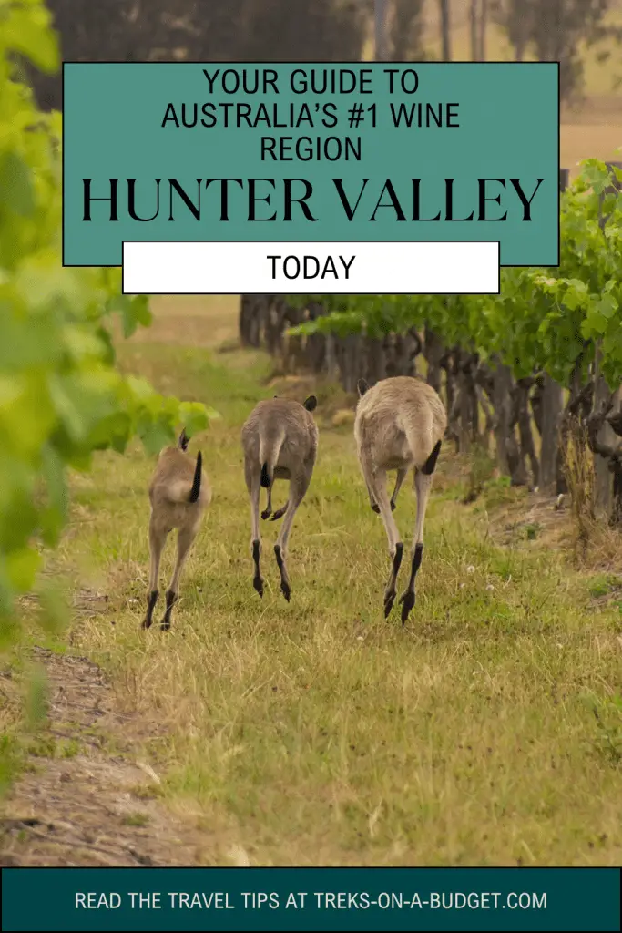 Pinterest Pin hunter valley Australia